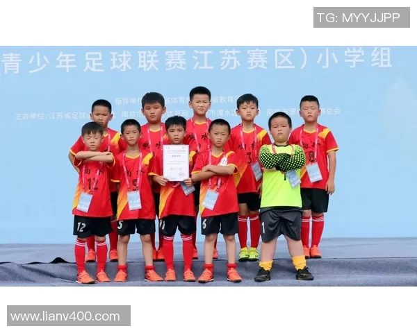 南京足球队实力解析：从历史成就到未来展望的全面探讨