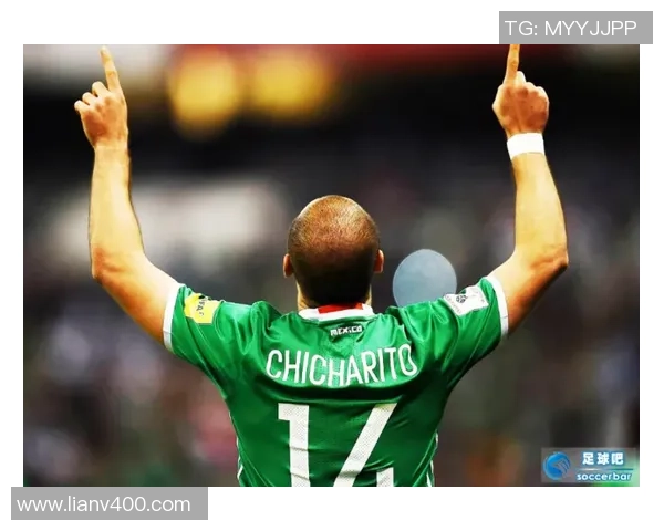 足球明星埃尔文德斯的传奇旅程与辉煌成就揭秘